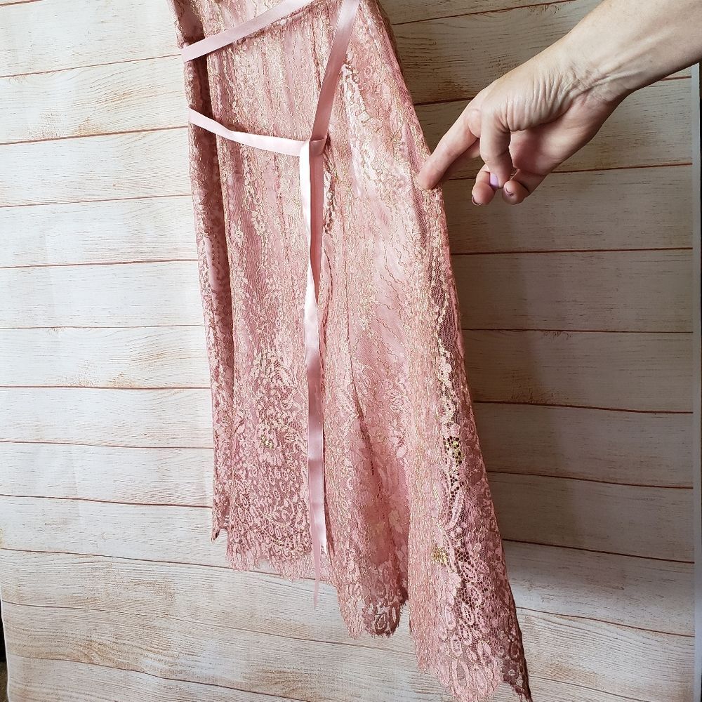 Ann Taylor Lace Metallic Ribbon Strap Dress Eyelash Lace Hem Size 6 Blush Pink - Picture 3 of 13